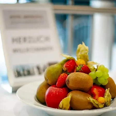 Hotel Metropol